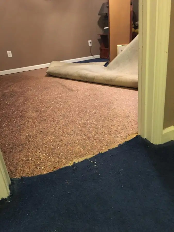 Carpet pad removal revealing water damage during Water Mitigation Services in Carolina Beach