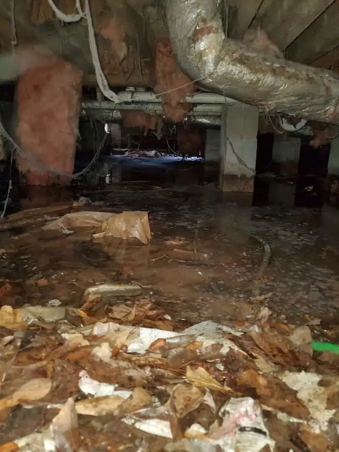 Crawl space flood assessment for Commercial Water Damage Restoration in Carolina Beach