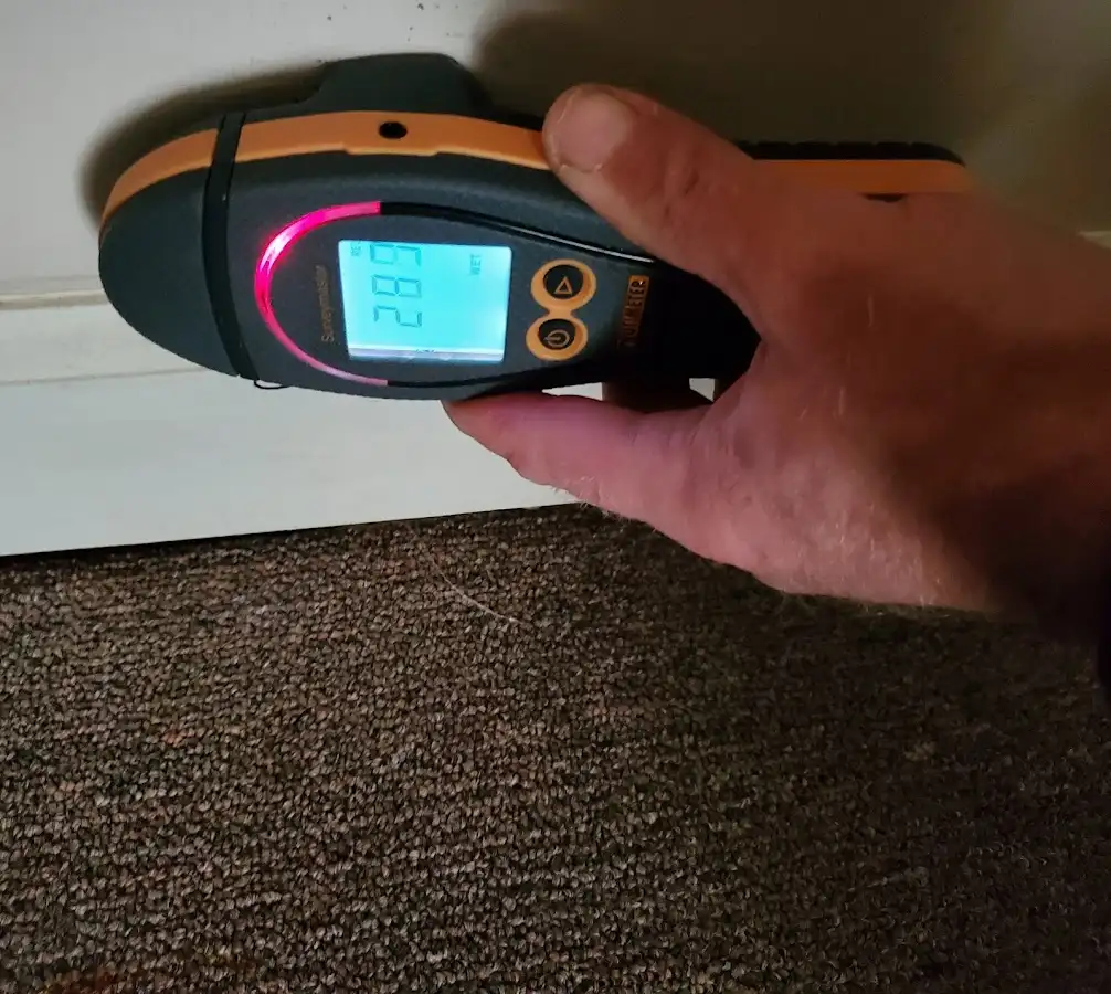 Moisture detection at baseboard during Sewage Cleanup & Sanitation in Carolina Beach
